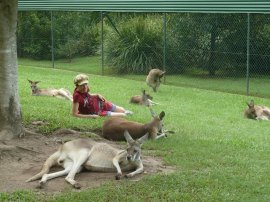 Sur-Fi-Relax..take-it-eaaaasyyy-D-australian-summer1