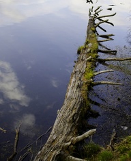 5213e11ae5228adc62d7d4c5a420bf0b